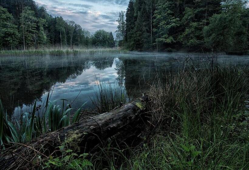 פנסיון Penzion švýcarský Dvůr