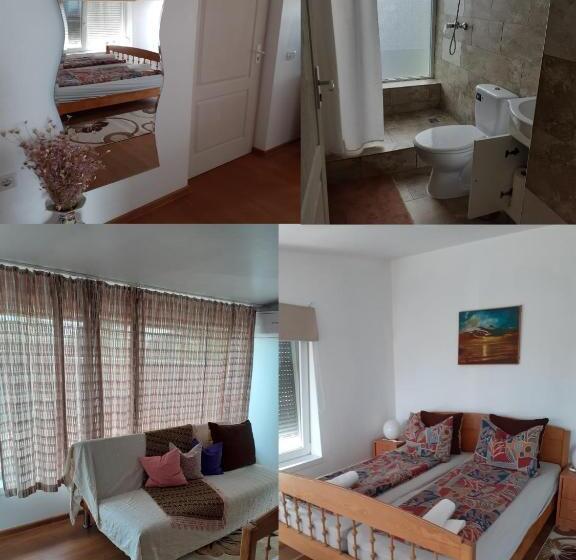 פנסיון Vila Georgeta, Camere De închiriat