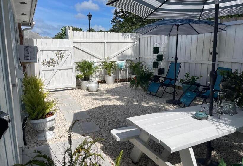 膳宿费 White Rock Studio