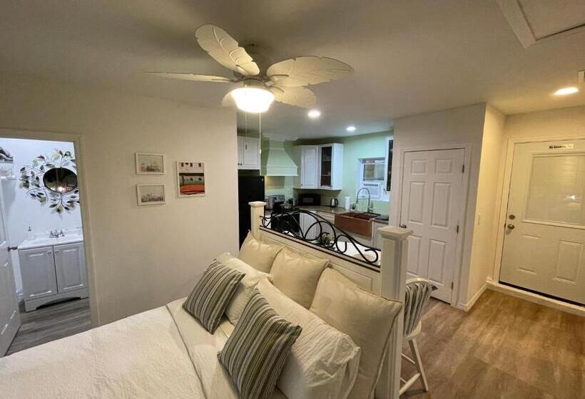 膳宿费 White Rock Studio