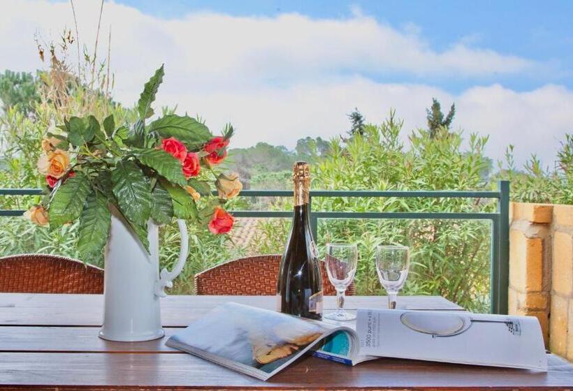 Residence With Swimming Pool In Guardistallo