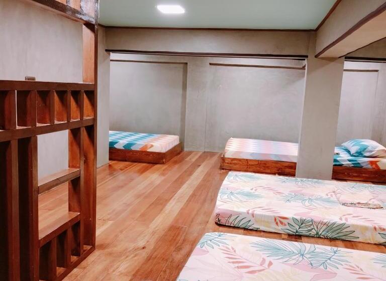 هاستل Daniella S Loft