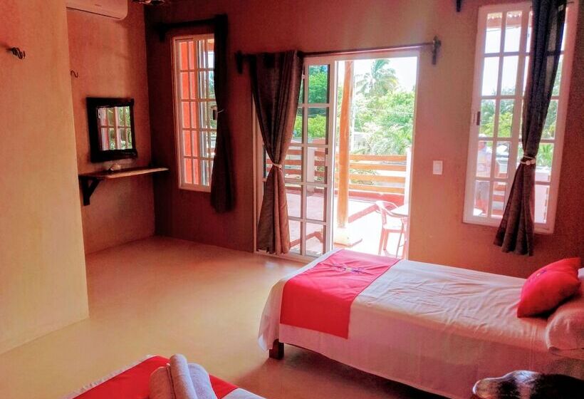 هاستل Tribe Beachville