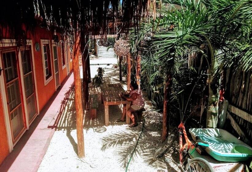 هاستل Tribe Beachville