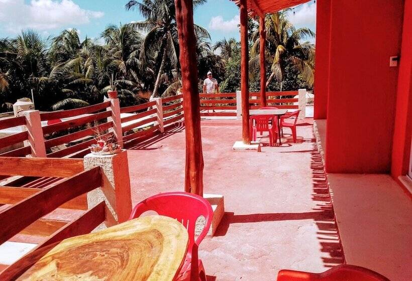 هاستل Tribe Beachville