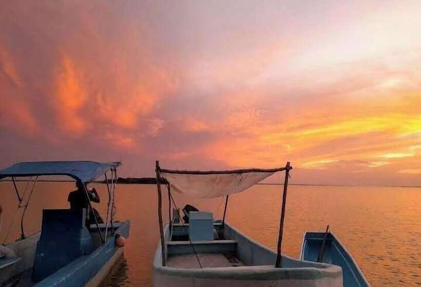 هاستل Tribe Beachville