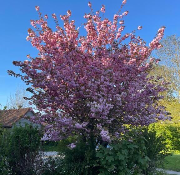 مبيت وإفطار La Paulerie