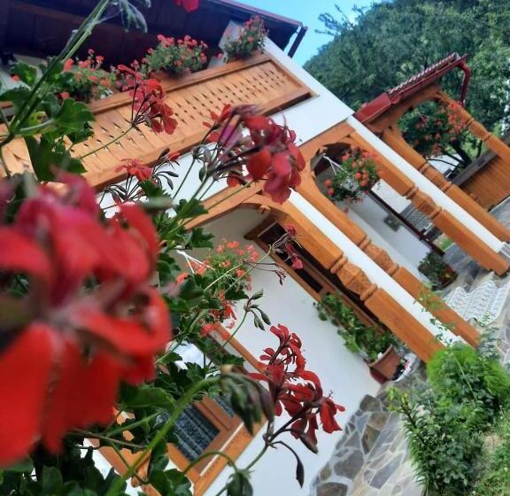 בית מלון כפרי Casa Pintioi