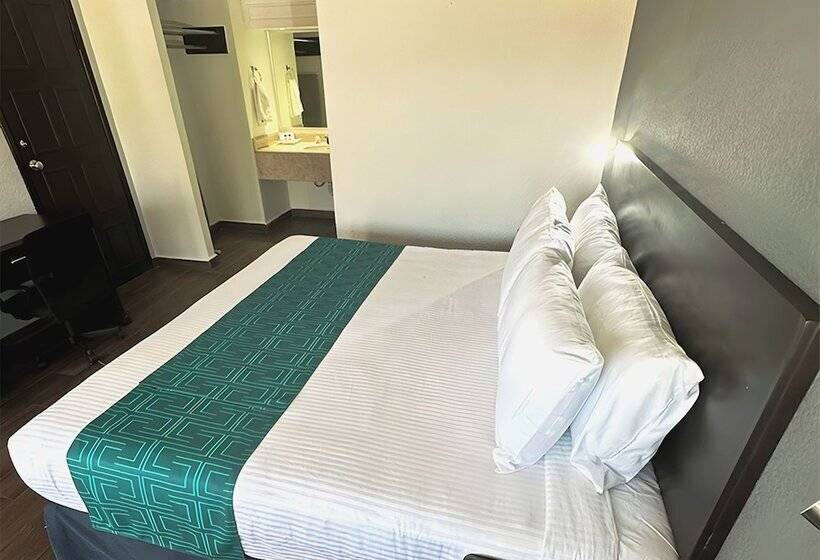 酒店 Inhouse Obregón