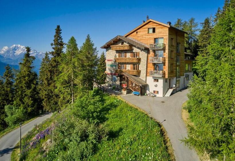 בית מלון כפרי Waldhaus