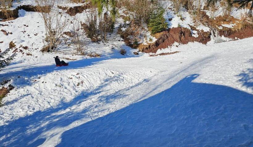 膳宿费 Cabana Din Vale Arieseni Apuseni