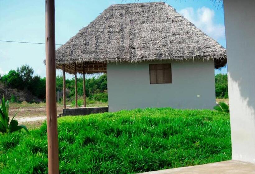 ペンション Mfumbwi Coast Village