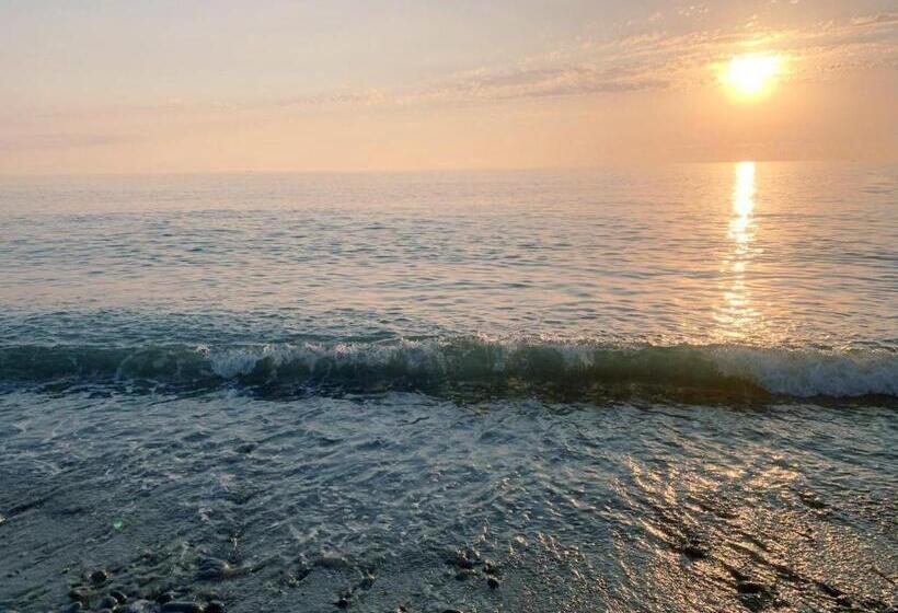 پانسیون Nargizi Guest House