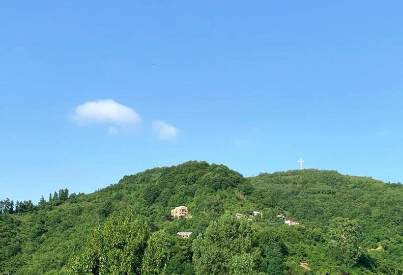 پانسیون Nargizi Guest House