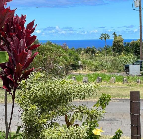 Пансион Private Ohana On The Lush Hamakua Coast With Ac