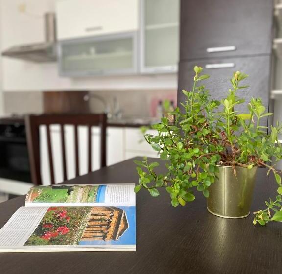 צימר Blu Cilento