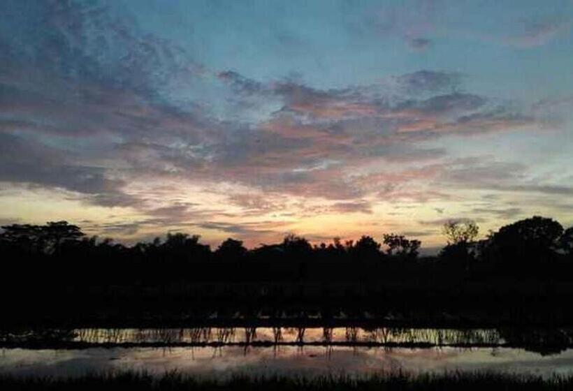 בית מלון כפרי D Sawah Guesthouse Klaten Near Danau Rawa Jombor