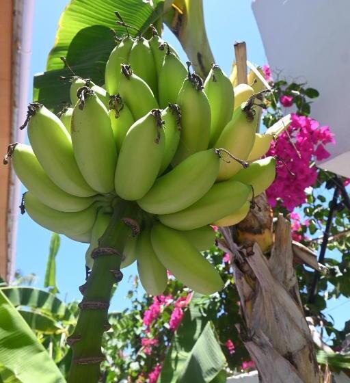 فندق Minted Boutique