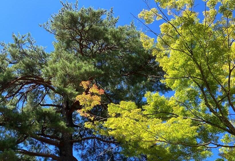 فندق Nasushiobara Masudaya