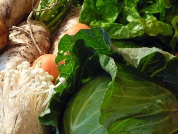 호텔 Nasushiobara Masudaya