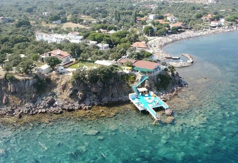 ホテル Veranda Glamping