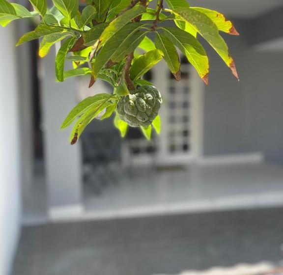 پانسیون Charlotte House