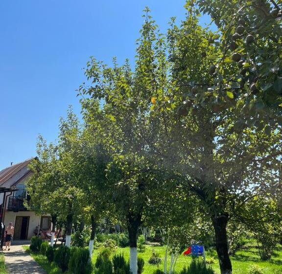 پانسیون Guesthouse Kvara Mukhuri