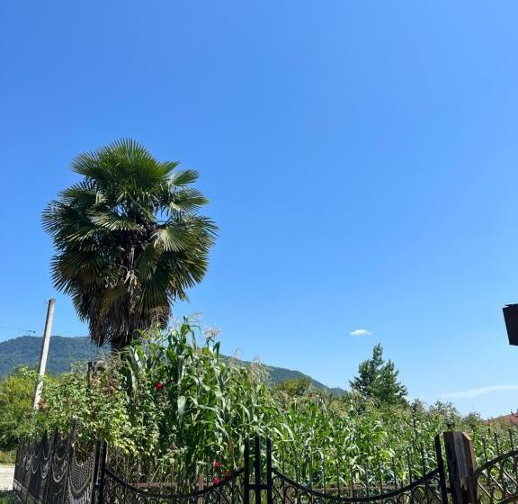 پانسیون Guesthouse Kvara Mukhuri