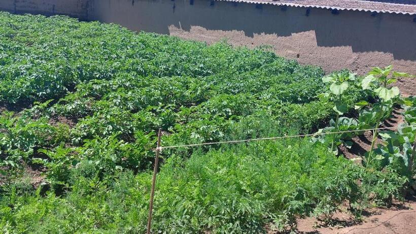 پانسیون Gulanda Guesthouse