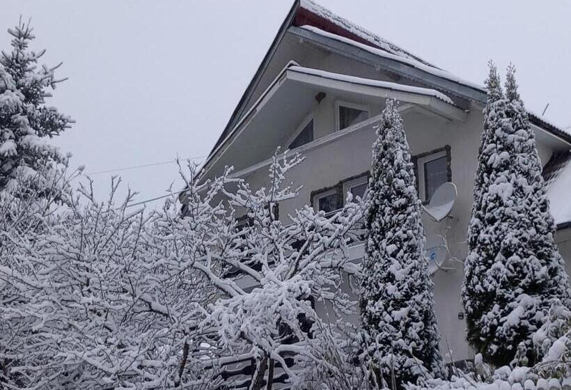 بنسيون Perla Călimanilor