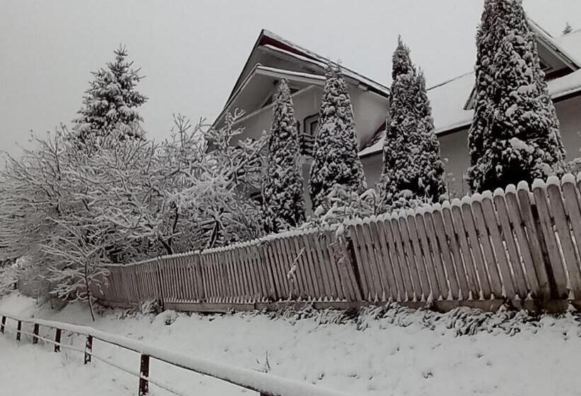 بنسيون Perla Călimanilor