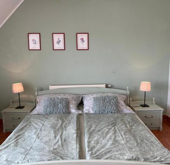 بنسيون Vázsonyi Vendégház