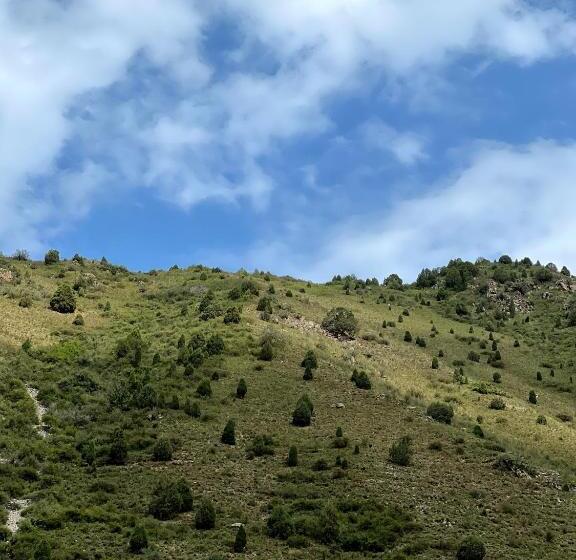 تختخواب و صبحانه Rahmat Yurts