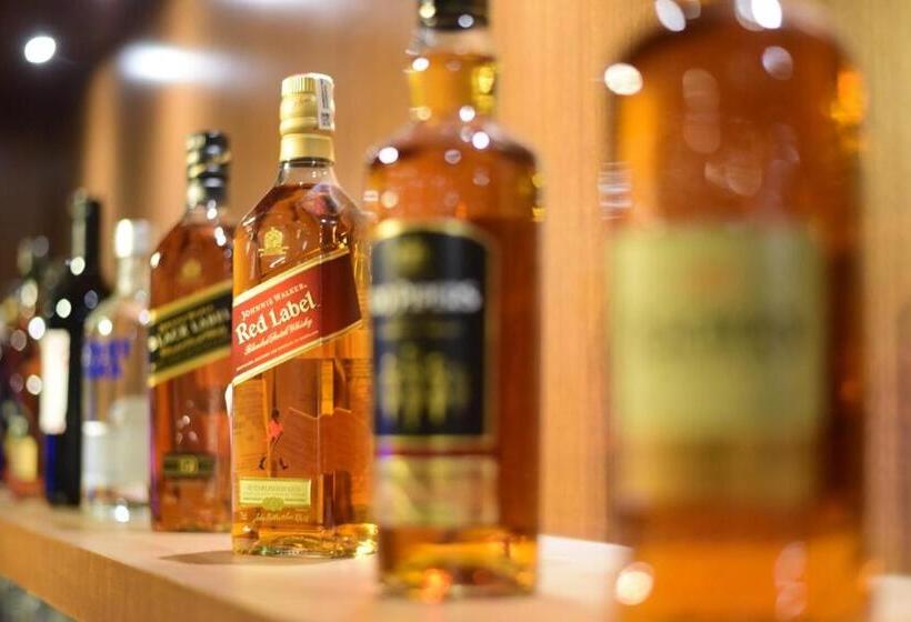 فندق Krishna Palace