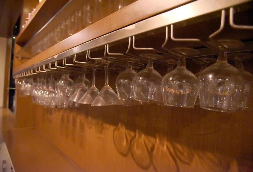 فندق Krishna Palace