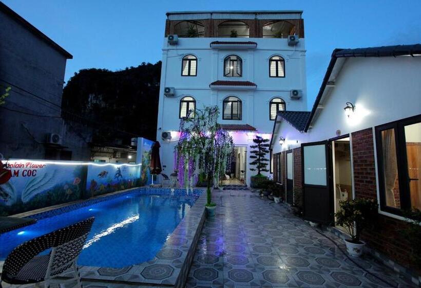 هتل Tam Coc Mountain Flower Homestay
