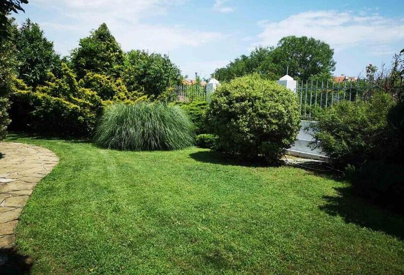 פנסיון Black Sea Pearl