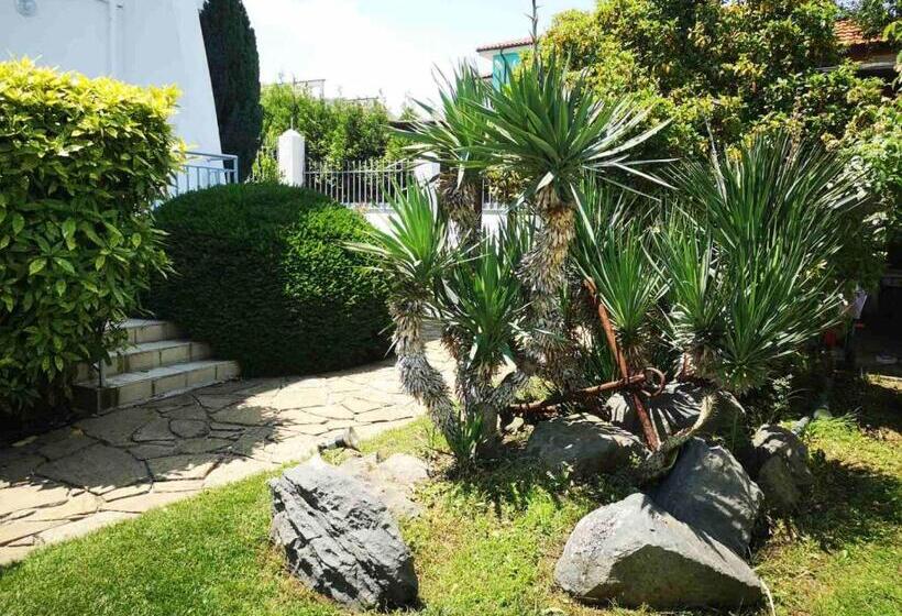 פנסיון Black Sea Pearl