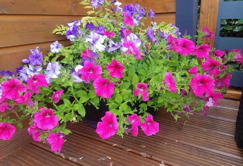 펜션 Glamorous Glamping