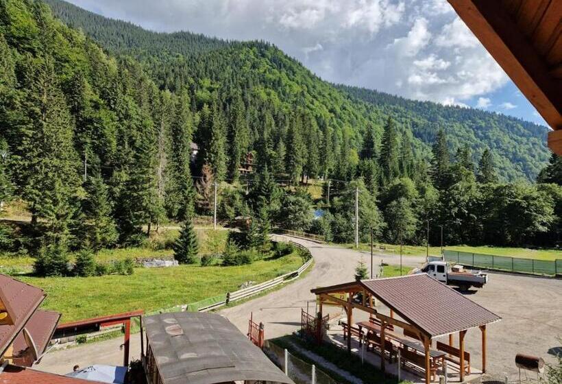 Pensiunea Cota 1200 Piscul Negru