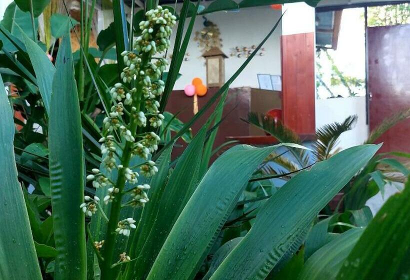 هاستل Aranara Libaong