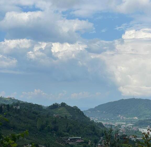 ベッドアンドブレックファースト Karadeniz Kuş Cenneti Kaşıkçı