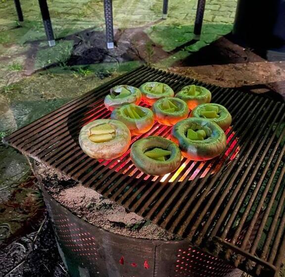 ベッドアンドブレックファースト Karadeniz Kuş Cenneti Kaşıkçı