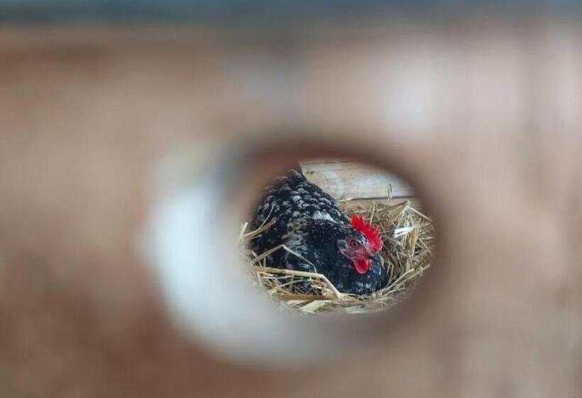 住宿加早餐 Gîte, Le Séchoir à Lin Demeure De Charme