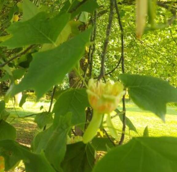 住宿加早餐 Gîte, Le Séchoir à Lin Demeure De Charme