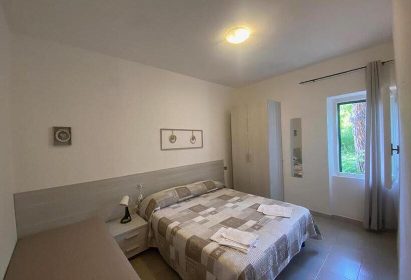 Bed & Breakfast Alex