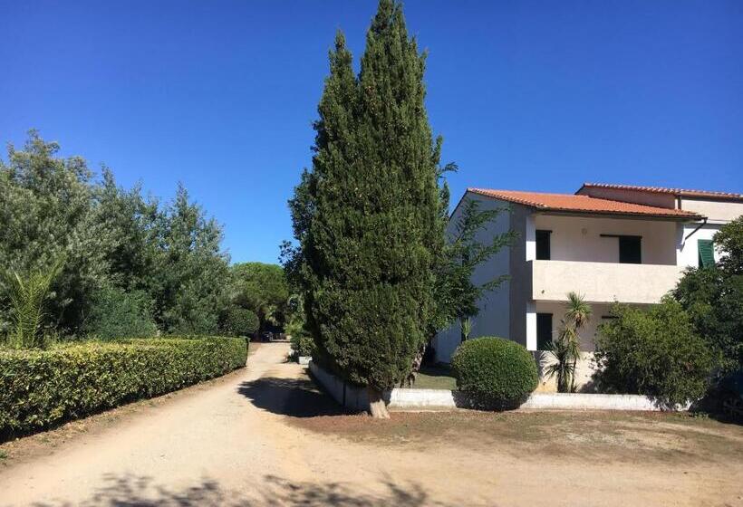 Bed & Breakfast Alex