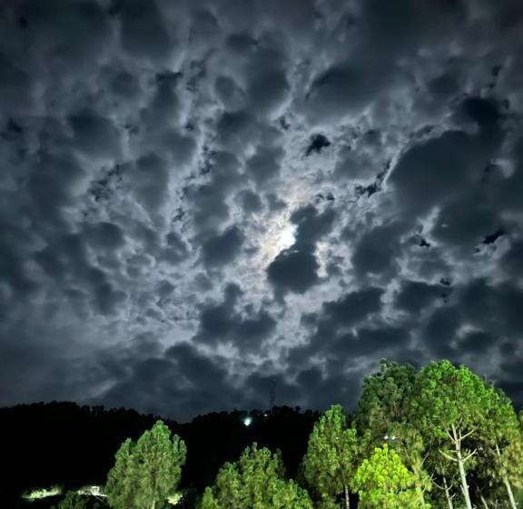 فندق Maheshwari & Banquet Hall