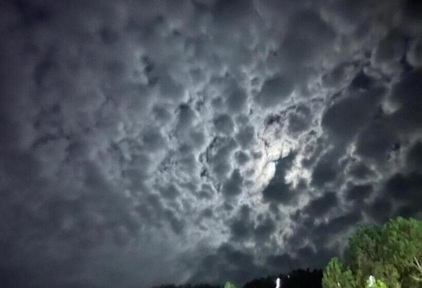 فندق Maheshwari & Banquet Hall