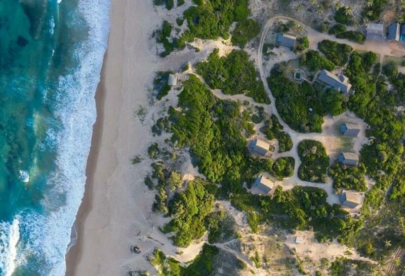 ホテル Singila Ocean Lodge